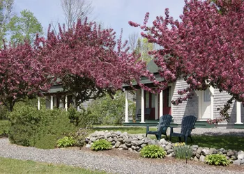 Greenville Inn at Moosehead Lake hotel thumbnail 6