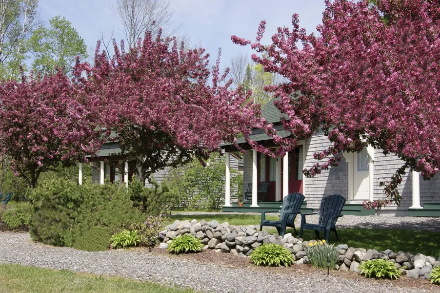 Greenville Inn at Moosehead Lake hotel detail image 6