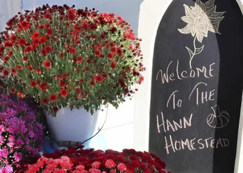 The Hann Homestead Inn hotel thumbnail 5