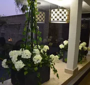 Best Western Posada Del Rio hotel detail image 4