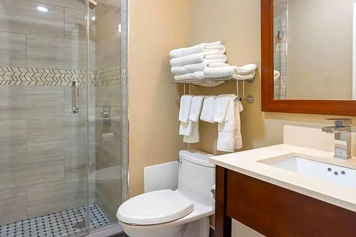 Comfort Inn & Suites near JFK Air Train hotel detail image 6