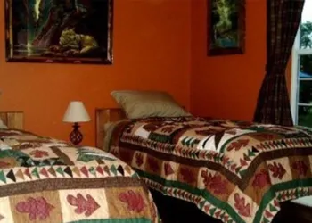 Blonde Bear Bed & Breakfast hotel thumbnail 3
