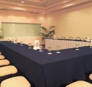 Fiesta Inn Tampico hotel detail image 7