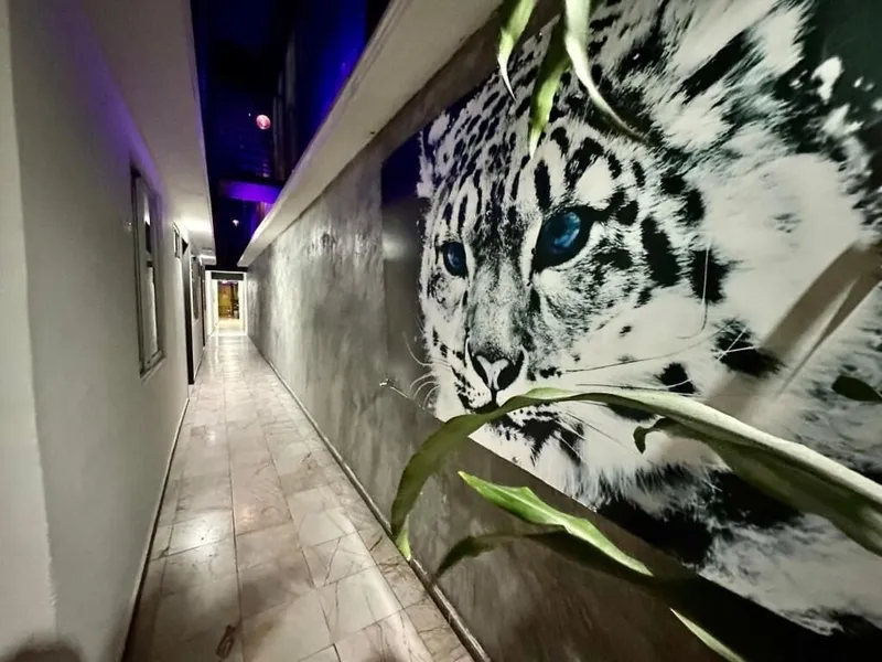 zyan Rooms hotel detail image 6