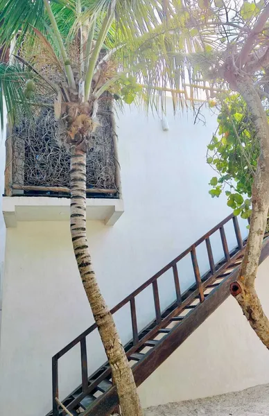 Azucar Hotel Tulum hotel detail image 6