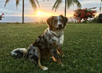 Kona Bayview Inn hotel thumbnail 3