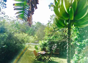 Hotel Casa Maya Calakmul hotel thumbnail 3