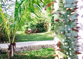 Hotel Casa Maya Calakmul hotel thumbnail 5