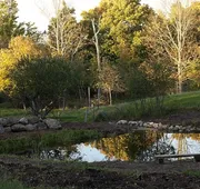 Green Dragon Organic Farm and B&B hotel detail image 3