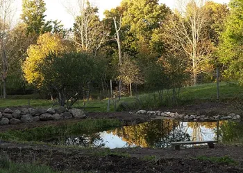 Green Dragon Organic Farm and B&B hotel thumbnail 3
