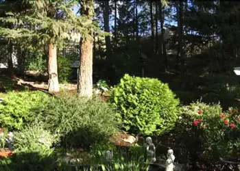 Alexandria House Bed & Breakfast hotel thumbnail 4