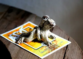 La Pantera Negra Gallery and B&B hotel thumbnail 6