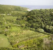 Royal Isabela hotel detail image 3