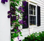 Millbrook Country House Bed & Breakfast hotel detail image 5