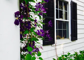 Millbrook Country House Bed & Breakfast hotel thumbnail 5