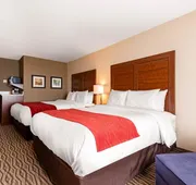 Comfort Inn & Suites hotel detail image 4