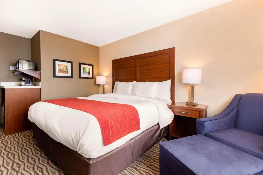 Comfort Inn & Suites hotel detail image 6