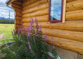 Northern Lights Resort & SPA hotel thumbnail 2