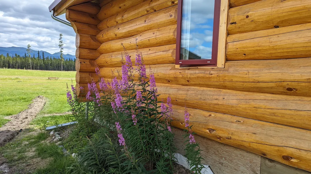 Northern Lights Resort & SPA hotel detail image 2