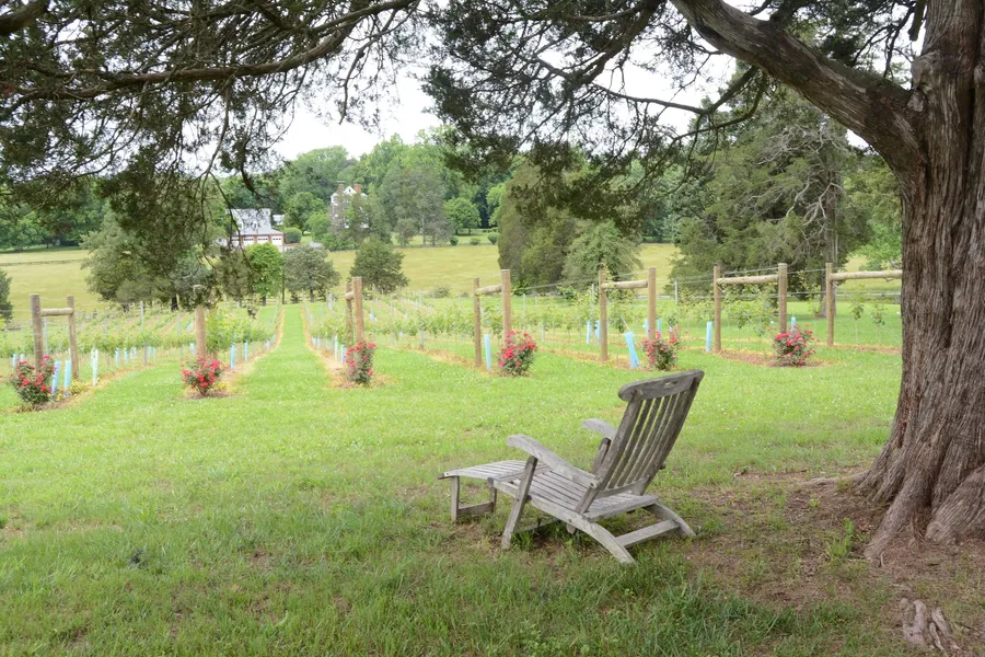 Woodville Bed and Breakfast hotel detail image 6