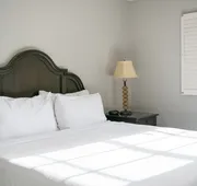 French Quarter Suites Hotel hotel detail image 7