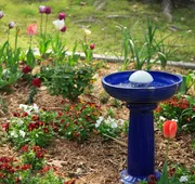 Tiffanys Bed & Breakfast hotel detail image 5