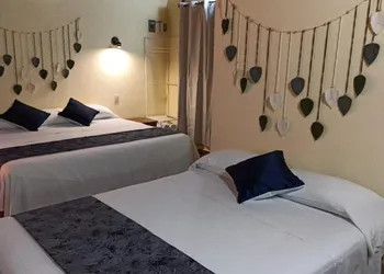 Ecohabitat hotel thumbnail 7