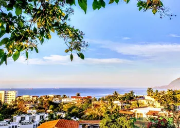 Casa Artista BnB Manzanillo hotel thumbnail 8