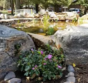 Grey Squirrel Resort hotel detail image 4