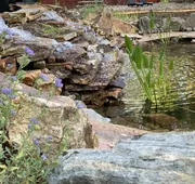Grey Squirrel Resort hotel detail image 7