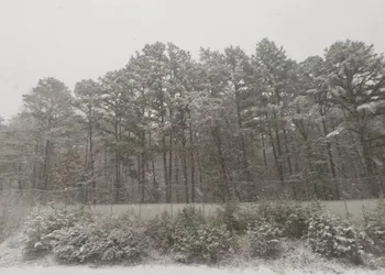 Blue Ridge Rustic Inn hotel thumbnail 7
