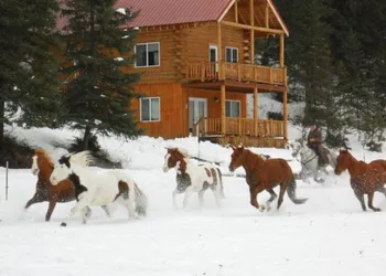 Bar W Guest Ranch hotel thumbnail 5