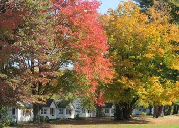 The Cabins at Autumn Mountain Winery hotel thumbnail 6