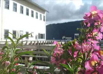 Waterfall Resort hotel thumbnail 2