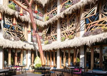 Papelillo Lofts hotel thumbnail 3