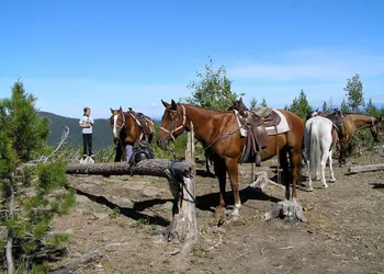 Ten-ee-ah Lodge & Campground hotel thumbnail 7