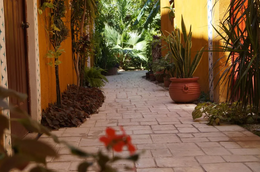 Casa Tia Micha hotel detail image 6
