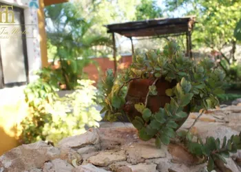 Casa Tia Micha hotel thumbnail 8