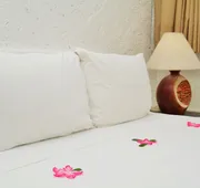 Pacífica Resort Ixtapa All-Inclusive hotel detail image 7