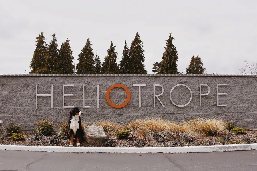 Heliotrope Hotel hotel detail image 2