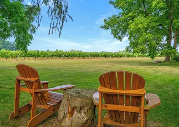 Vineyard Villa Bed & Breakfast hotel thumbnail 4