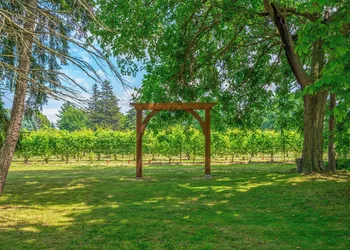 Vineyard Villa Bed & Breakfast hotel thumbnail 5