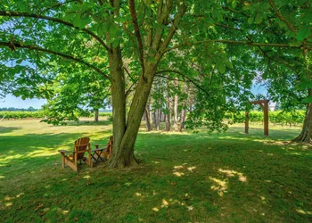 Vineyard Villa Bed & Breakfast hotel thumbnail 6
