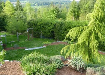 Panorama Bed and Breakfast hotel thumbnail 5