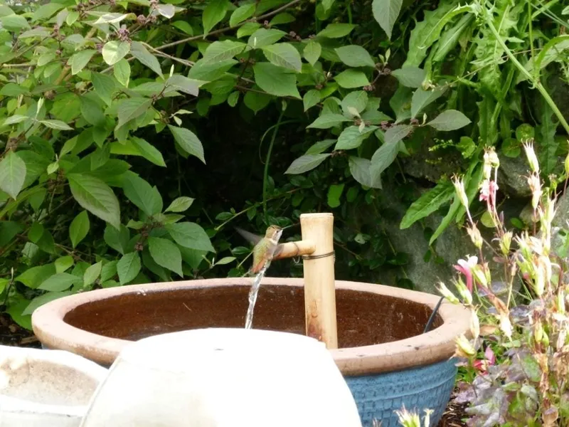 Panorama Bed and Breakfast hotel detail image 6