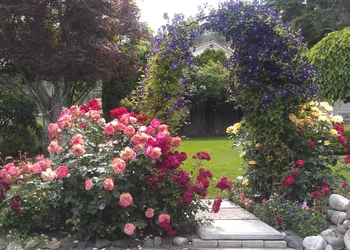 A View to Remember Bed & Breakfast hotel thumbnail 3