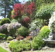A View to Remember Bed & Breakfast hotel detail image 4