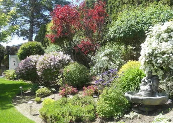 A View to Remember Bed & Breakfast hotel thumbnail 4