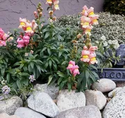 A View to Remember Bed & Breakfast hotel detail image 5