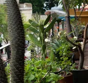 Casa Catrina hotel detail image 5
